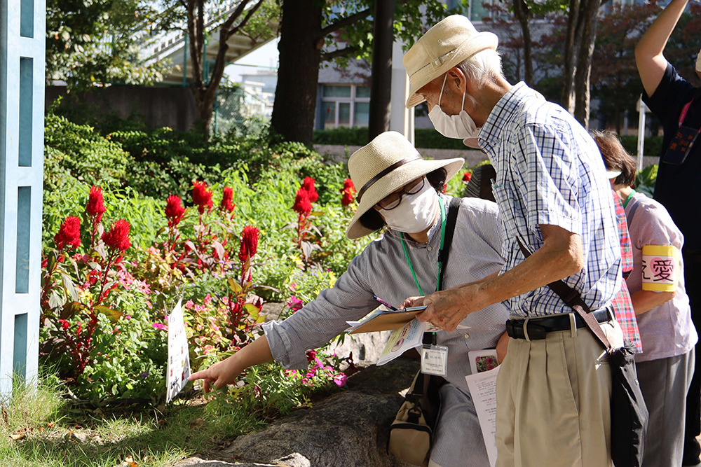 地域支援員さんと一緒に花を見つける